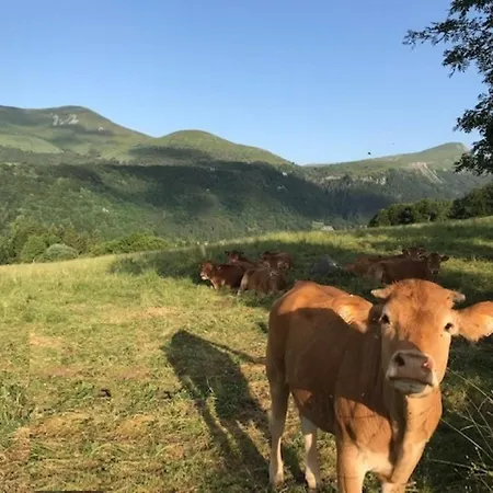 Appartement Duplex Agréable, Proche Du Centre - Fr-1-608-44 Le Mont-Dore