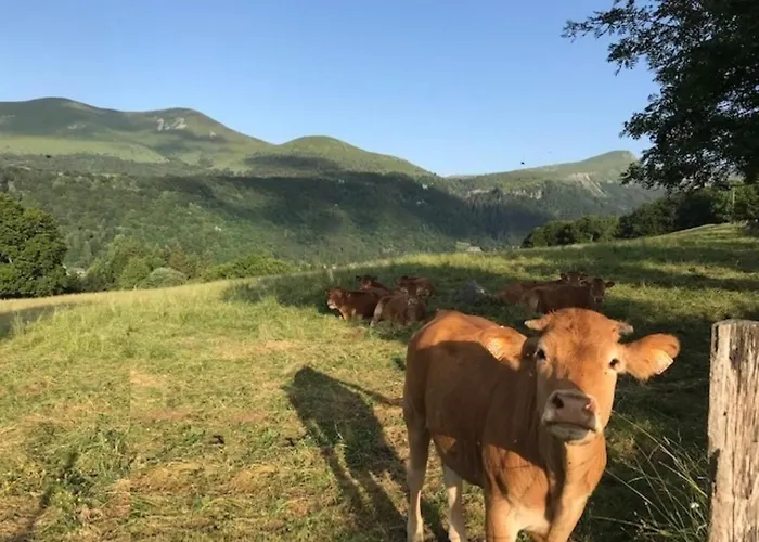 Apartamento Duplex Agréable, Proche Du Centre - Fr-1-608-44 Mont-Dore